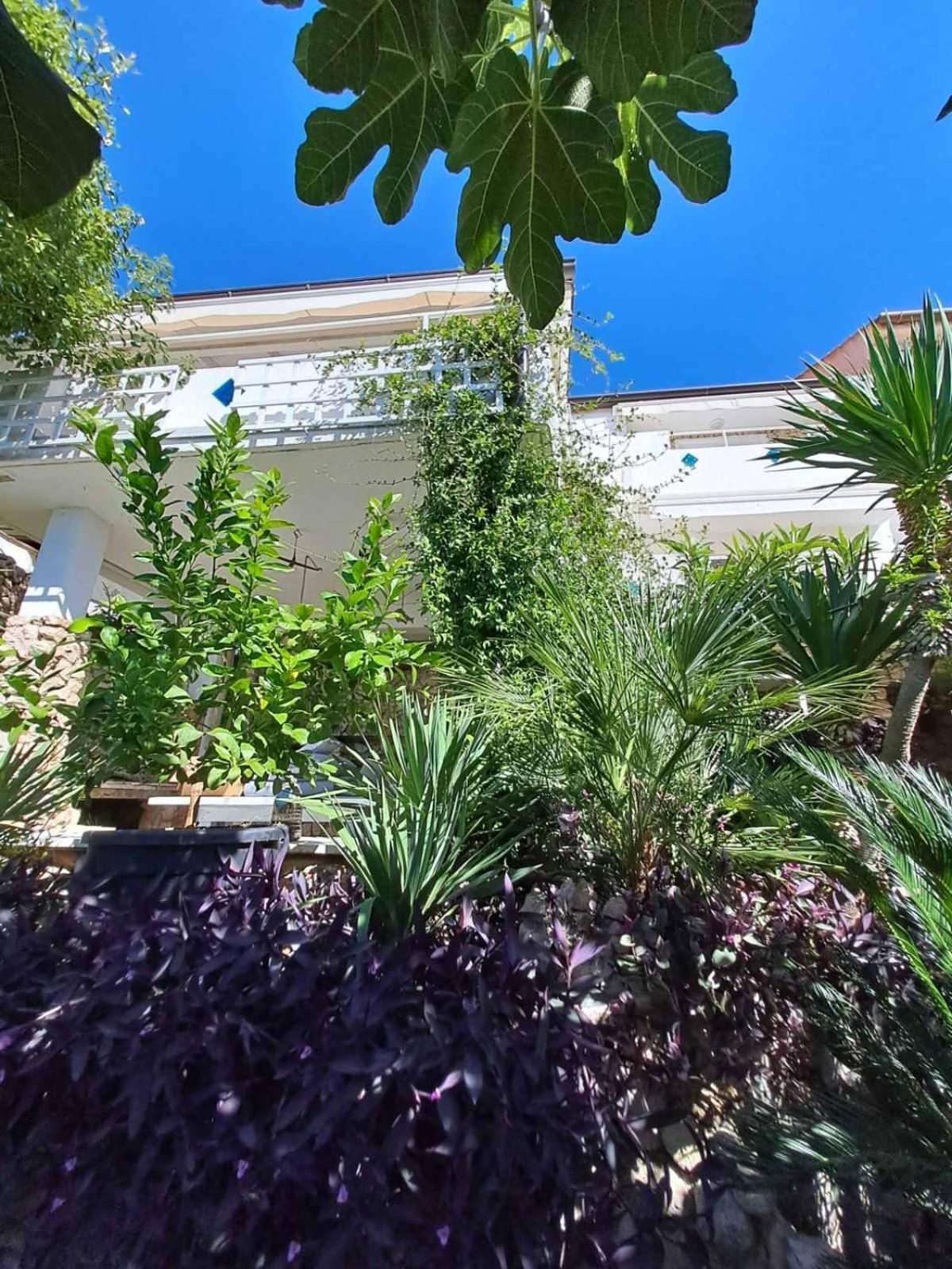 Libera Apartments Stara Baska Exterior photo